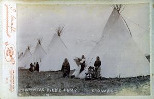 Primary view of object titled 'Hummingbird's Camp'.