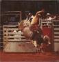 Photograph: Bull riding at the Rodeo