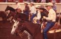 Photograph: American Quarter Horse Association Show