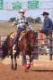 Photograph: American Quarter Horse Association Practice