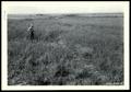 Photograph: Land Clearance, Cultivation & Brush and Weed Control