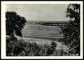 Photograph: Long View of Stripped Crop Area