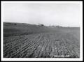 Photograph: Alfalfa Field Developed in Flood Plain of Cloud Creek