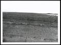 Thumbnail image of item number 1 in: 'Landscape of Bates-Collinsville Complex'.