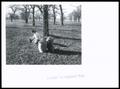 Primary view of Pecan Picking