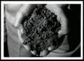 Photograph: Soil Classification