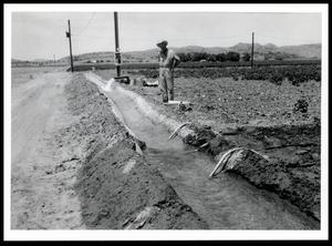 Primary view of object titled 'Irrigation Ditches'.