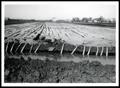Photograph: Neville Irrigation System