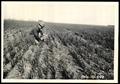 Photograph: UNIDENTIFED Man Examining Wheat Crop and Wheat Stubble