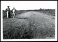 Primary view of Alternate View of Two UNIDENTIFIED Men Standing in Lateral Constructed in the Spring of 1946 and Seeded to Kobe Lespedeza on the D. N. and W. L. Koll Farm