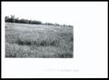 Photograph: Hutton Farm Excellent Condition Range Grass Following Hay Harvest
