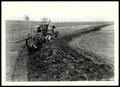 Photograph: UNIDENTIFIED Man on Tractor Rebuilding Contour Ridges and Planting Be…