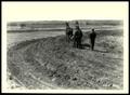Thumbnail image of item number 1 in: 'Dan Yahola Estate Drilling Sudan Grass on the Contour and Terraces/ Muskogee Project'.