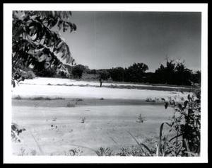Primary view of object titled 'Sand Deposit or Sand Bar At or Near Tonkawa Creek'.