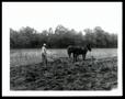 Photograph: Marion Riddle's Farm Pasture Before Improvement