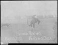 Photograph: Bronco Riding in 1910