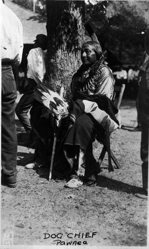 Primary view of object titled 'Pawnee Dog Chief'.