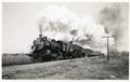 Photograph: Union Pacific (UP) 3113