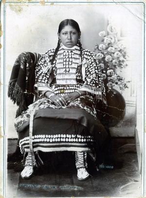 Primary view of object titled 'Cheyenne Indian girl.'.