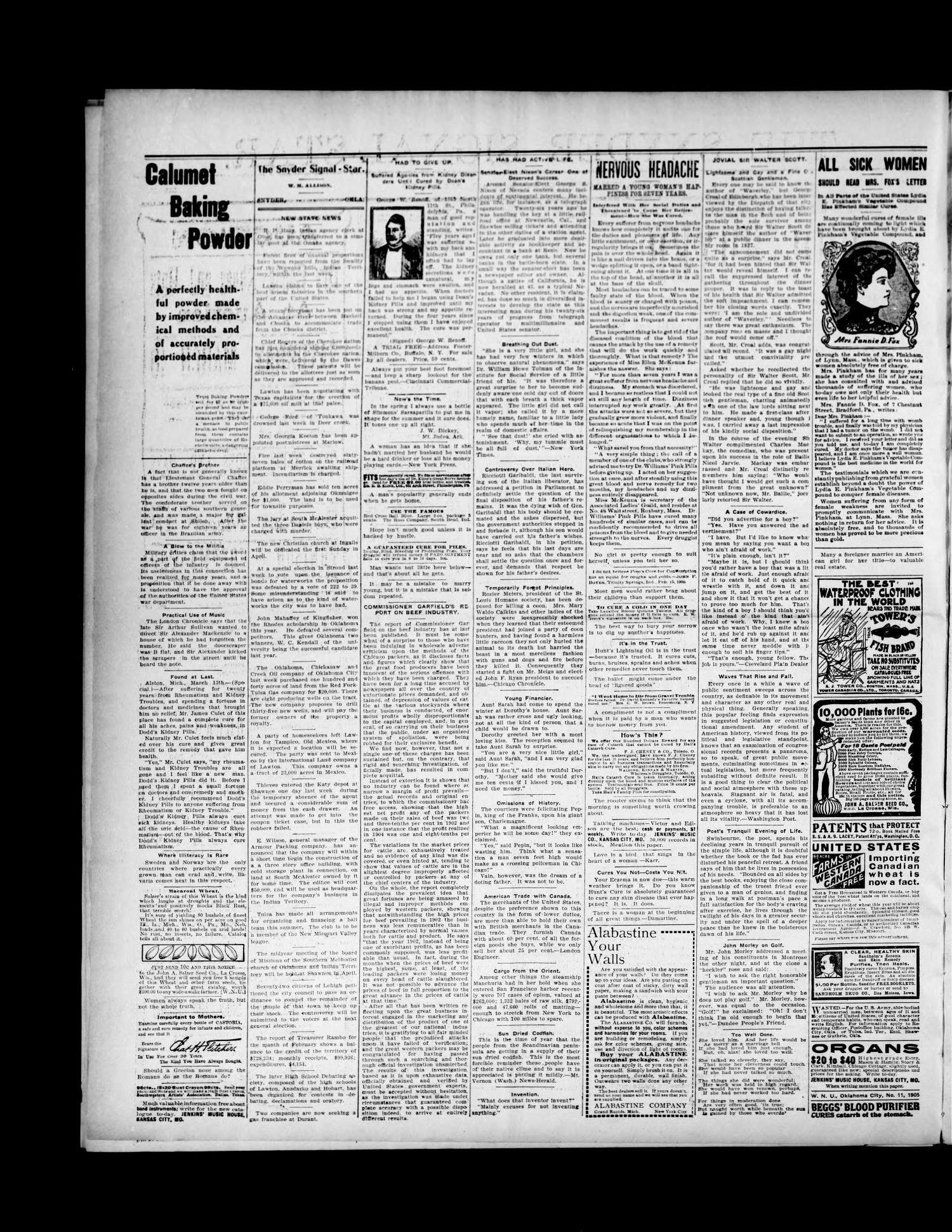 The Snyder Signal-Star. (Snyder, Okla.), Vol. 3, No. 16, Ed. 1 Friday, March 17, 1905
                                                
                                                    [Sequence #]: 2 of 6
                                                