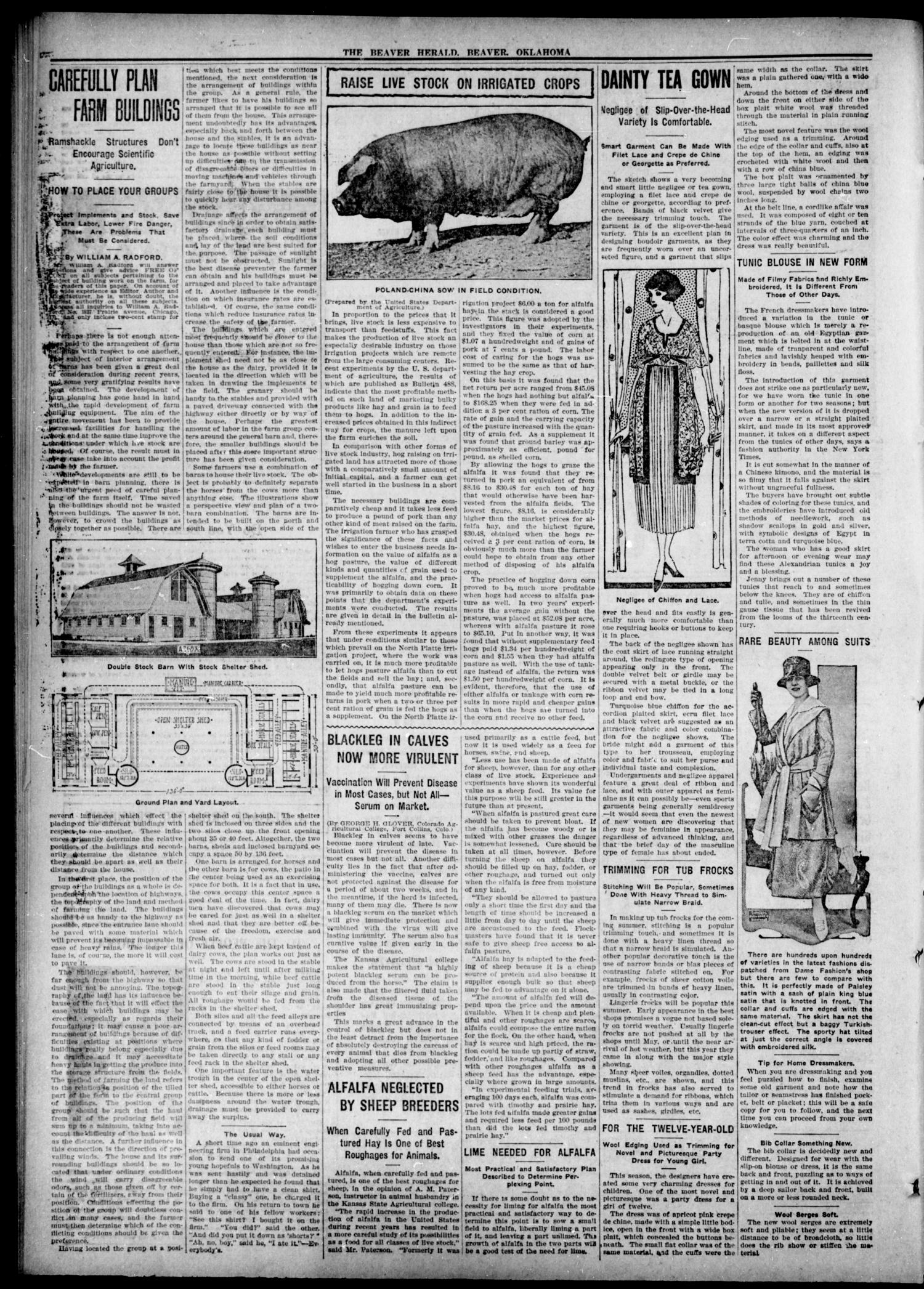 Beaver Herald (Beaver, Okla.), Vol. 32, No. 20, Ed. 1, Thursday, October 17, 1918
                                                
                                                    [Sequence #]: 4 of 12
                                                