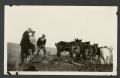 Photograph: Farmers with Horse Team in Field