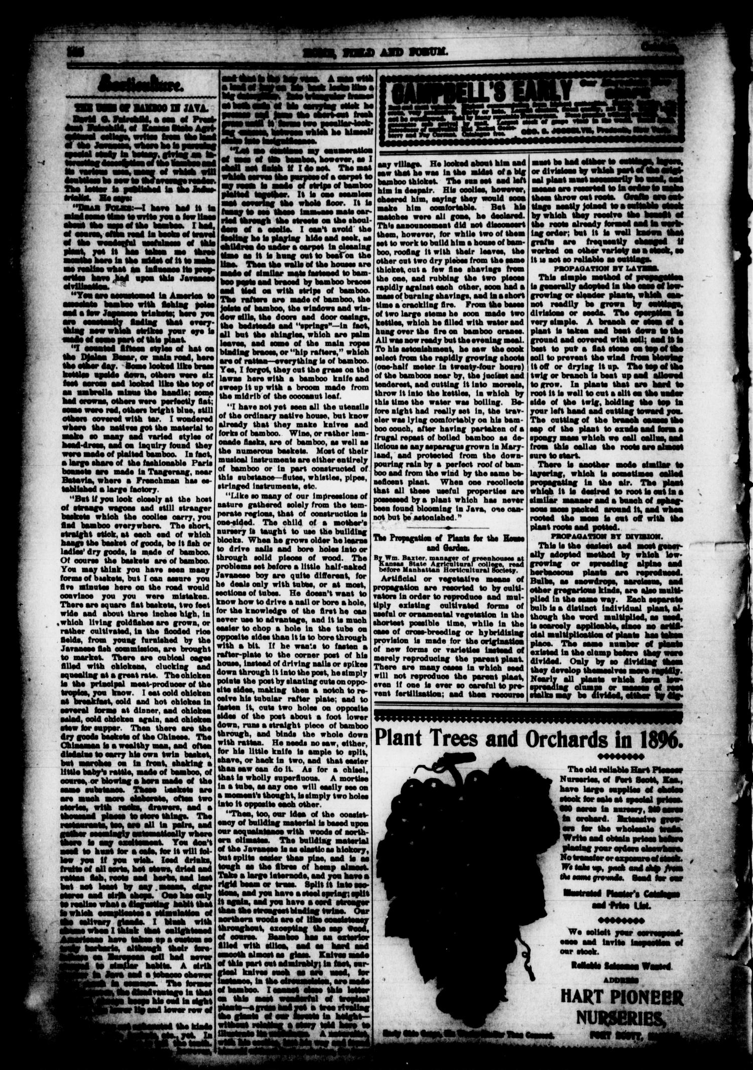 Home, Field and Forum (Guthrie, Okla.), Vol. 4, No. 10, Ed. 1 Thursday, October 1, 1896
                                                
                                                    [Sequence #]: 4 of 16
                                                
