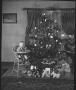 Photograph: Christmas Tree