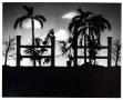 Photograph: Tropical Stage Design