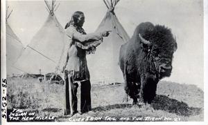 Primary view of object titled 'This Indian of the New Nickle: Chief Iron Tail and the Bison No. 21'.