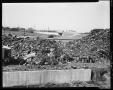 Photograph: Capital Compressed Steel Salvage Yard