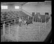 Photograph: Livestock Auction Arena at R. D. Cravens Ranch