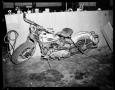 Photograph: Harley Davidson Motorcycle