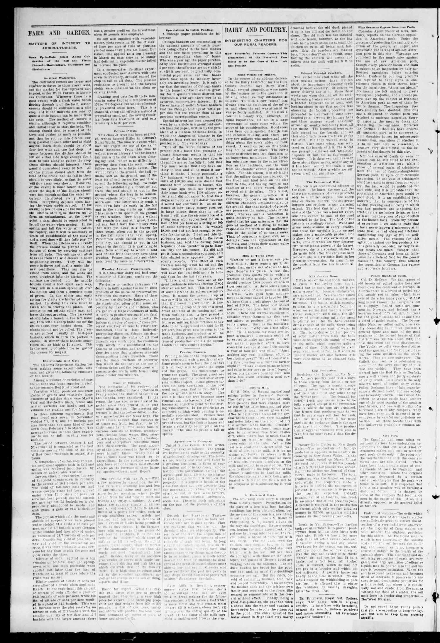 The Norman Transcript. (Norman, Okla.), Vol. 10, No. 09, Ed. 1 Friday, December 16, 1898
                                                
                                                    [Sequence #]: 2 of 8
                                                