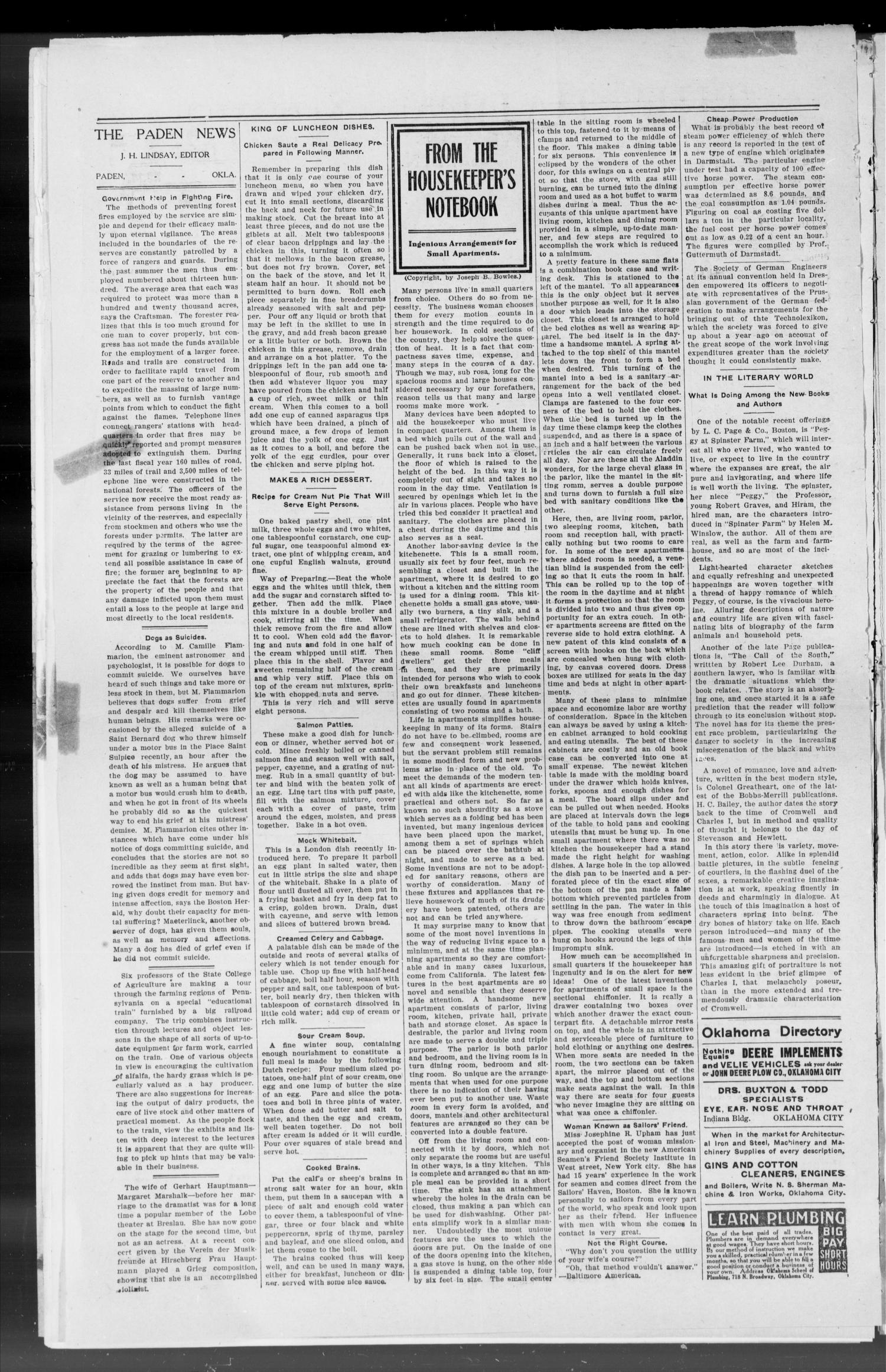 The Paden News. (Paden, Okla.), Vol. 1, No. 14, Ed. 1 Friday, January 1, 1909
                                                
                                                    [Sequence #]: 3 of 9
                                                
