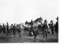 Photograph: Horse Racing