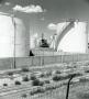Photograph: Champlin Oil Refinery