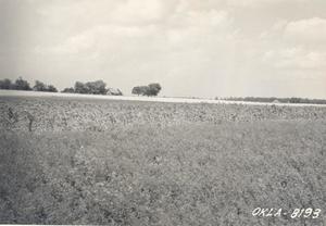 Primary view of object titled 'Wind Erosion Control'.