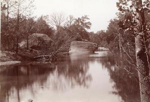 Pennington Creek