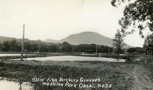 State Fish Hatchery Grounds