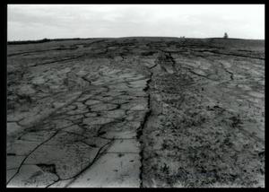 Primary view of object titled 'Field Damage'.