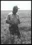 Photograph: Inspecting Wheat