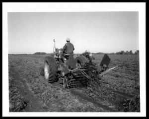 Crop Harvest