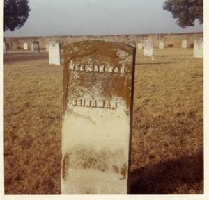 Primary view of object titled 'Fort Reno Cemetery'.