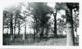 Photograph: Whistler family plot in Sauk and Fox Cemetery