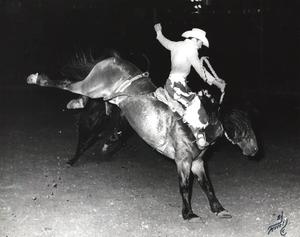 Larry Mahan on 'My Fair Lady' from the Minick stock at a rodeo in Ft.