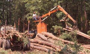 Primary view of Oklahoma Timber Industry