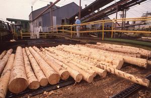Weywehaeuser Company Lumber Mill