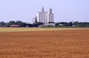 Wheat Field and Grain Elevator