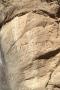 Thumbnail image of item number 1 in: 'Coronado Inscription'.